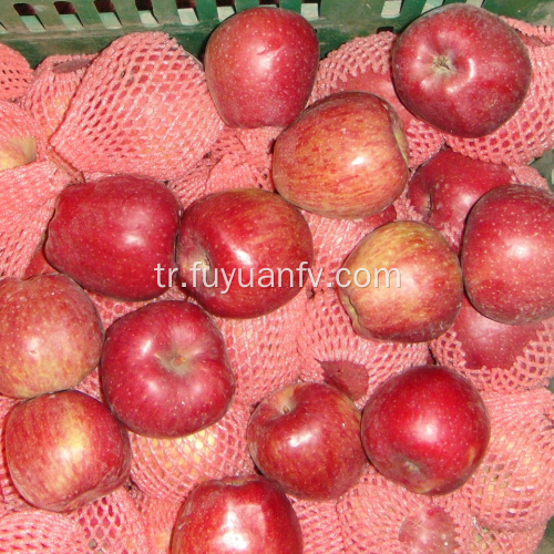 Taze meyve kırmızı yıldız elma